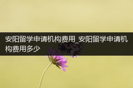 安阳留学申请机构费用_安阳留学申请机构费用多少
