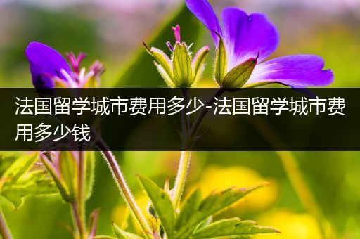 法国留学城市费用多少-法国留学城市费用多少钱