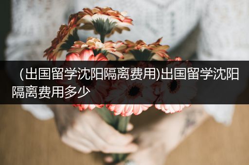 （出国留学沈阳隔离费用)出国留学沈阳隔离费用多少
