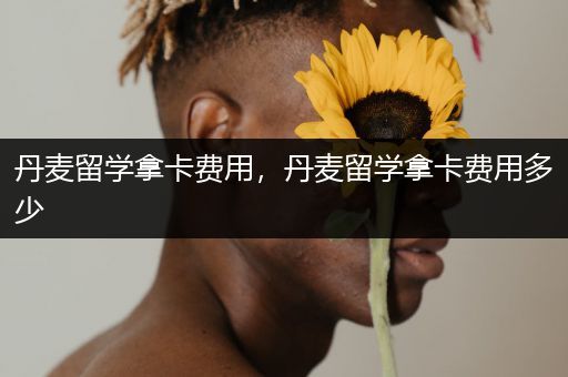 丹麦留学拿卡费用，丹麦留学拿卡费用多少