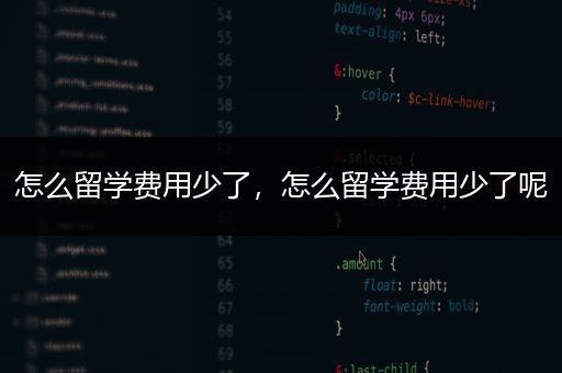 怎么留学费用少了，怎么留学费用少了呢