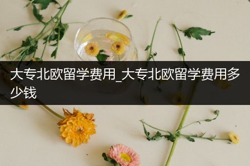 大专北欧留学费用_大专北欧留学费用多少钱