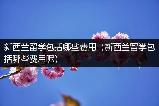 新西兰留学包括哪些费用（新西兰留学包括哪些费用呢）