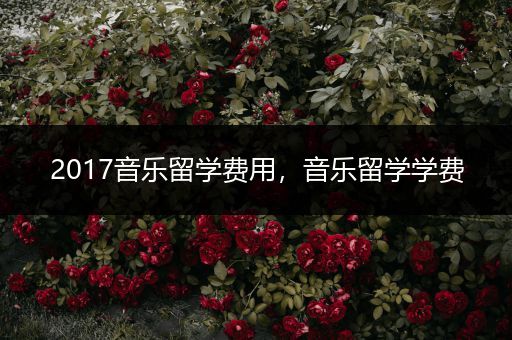 2017音乐留学费用，音乐留学学费