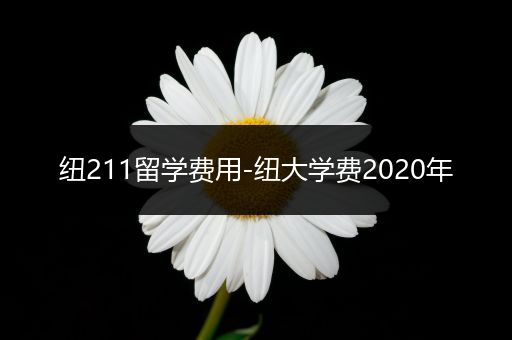 纽211留学费用-纽大学费2020年