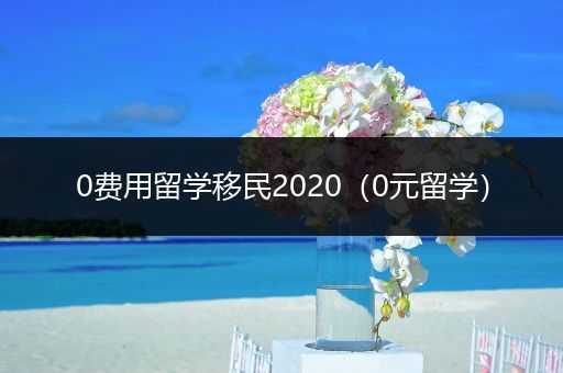 0费用留学移民2020（0元留学）