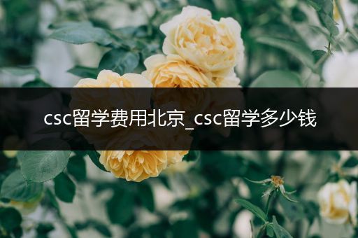 csc留学费用北京_csc留学多少钱