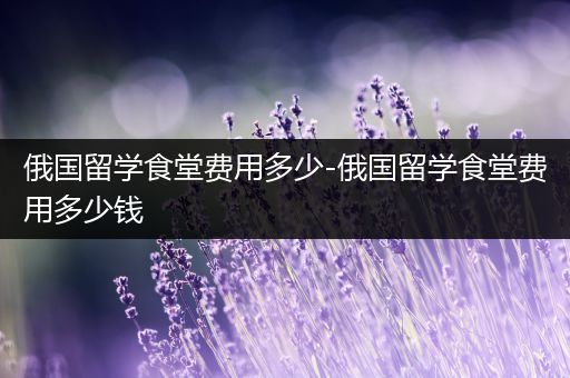 俄国留学食堂费用多少-俄国留学食堂费用多少钱