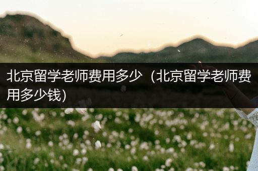 北京留学老师费用多少（北京留学老师费用多少钱）