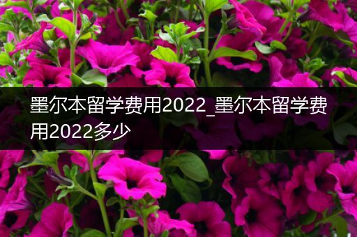 墨尔本留学费用2022_墨尔本留学费用2022多少