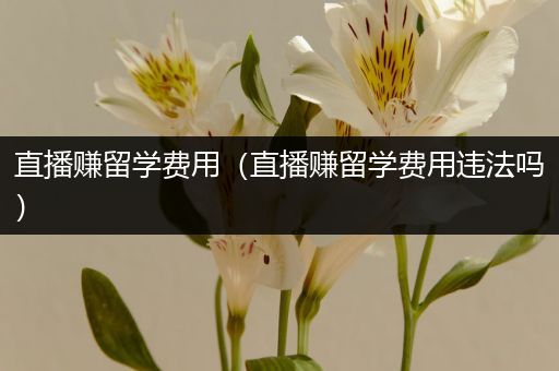 直播赚留学费用（直播赚留学费用违法吗）