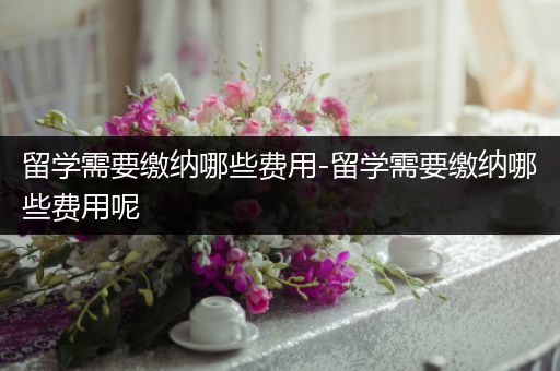 留学需要缴纳哪些费用-留学需要缴纳哪些费用呢