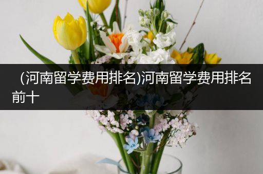 （河南留学费用排名)河南留学费用排名前十
