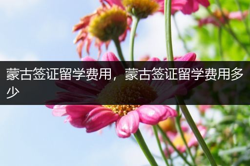 蒙古签证留学费用，蒙古签证留学费用多少