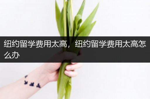 纽约留学费用太高，纽约留学费用太高怎么办