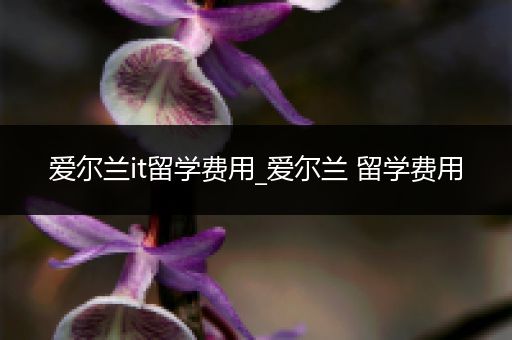 爱尔兰it留学费用_爱尔兰 留学费用