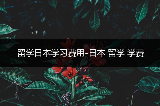 留学日本学习费用-日本 留学 学费