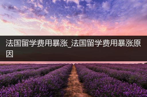 法国留学费用暴涨_法国留学费用暴涨原因