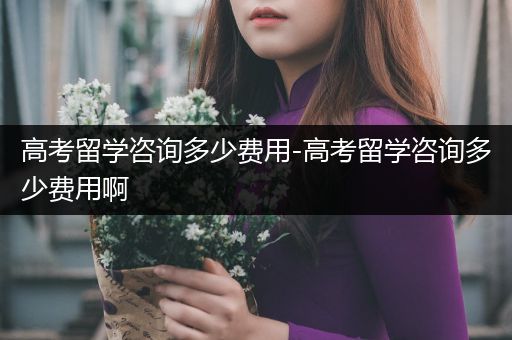 高考留学咨询多少费用-高考留学咨询多少费用啊
