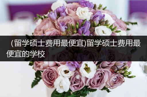 （留学硕士费用最便宜)留学硕士费用最便宜的学校