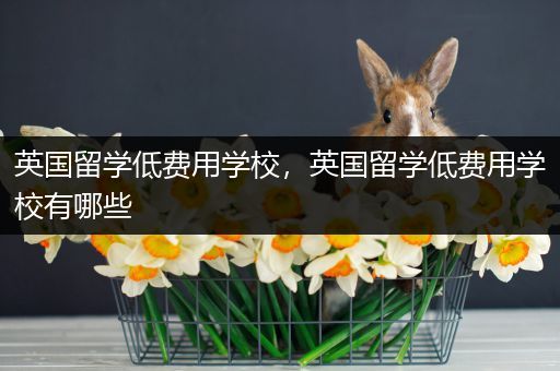 英国留学低费用学校，英国留学低费用学校有哪些