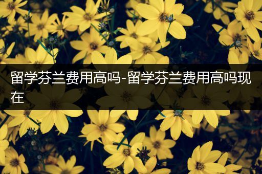留学芬兰费用高吗-留学芬兰费用高吗现在