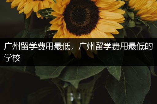 广州留学费用最低，广州留学费用最低的学校