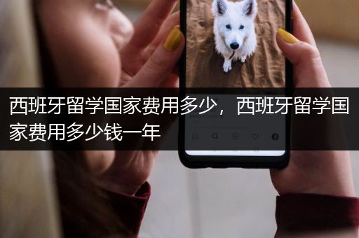 西班牙留学国家费用多少，西班牙留学国家费用多少钱一年