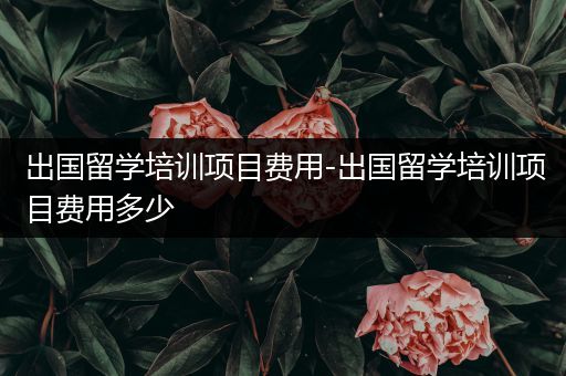 出国留学培训项目费用-出国留学培训项目费用多少