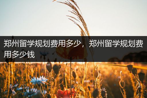 郑州留学规划费用多少，郑州留学规划费用多少钱
