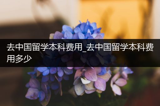 去中国留学本科费用_去中国留学本科费用多少