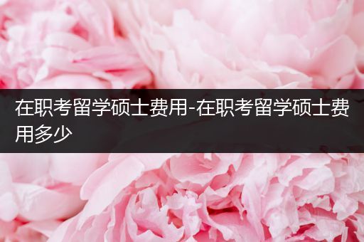 在职考留学硕士费用-在职考留学硕士费用多少