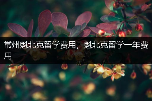 常州魁北克留学费用，魁北克留学一年费用
