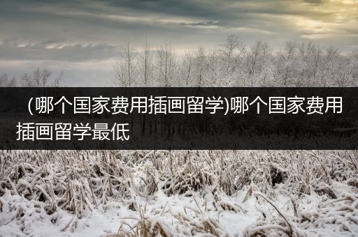 （哪个国家费用插画留学)哪个国家费用插画留学最低