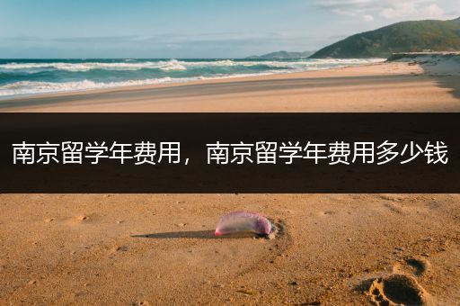 南京留学年费用，南京留学年费用多少钱