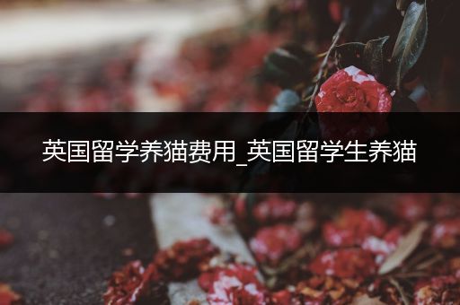 英国留学养猫费用_英国留学生养猫