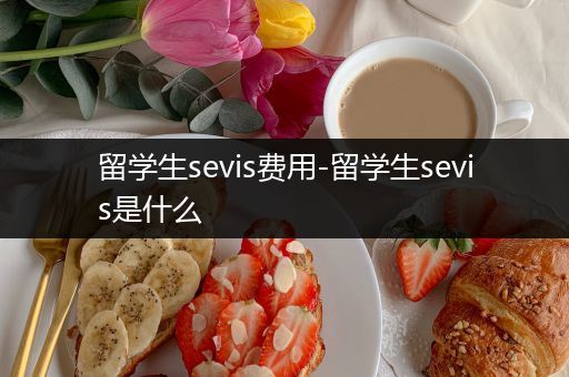 留学生sevis费用-留学生sevis是什么