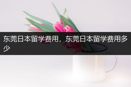 东莞日本留学费用，东莞日本留学费用多少
