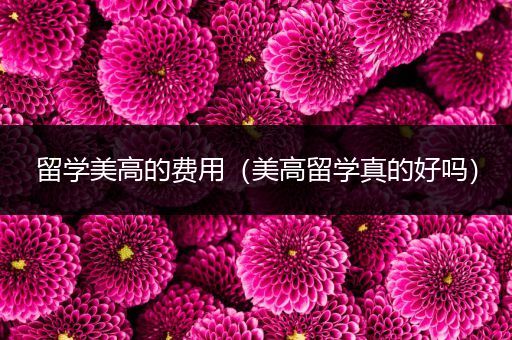 留学美高的费用（美高留学真的好吗）