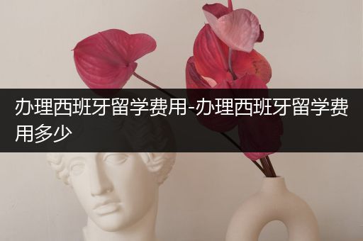办理西班牙留学费用-办理西班牙留学费用多少