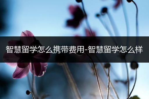智慧留学怎么携带费用-智慧留学怎么样