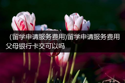 （留学申请服务费用)留学申请服务费用父母银行卡交可以吗