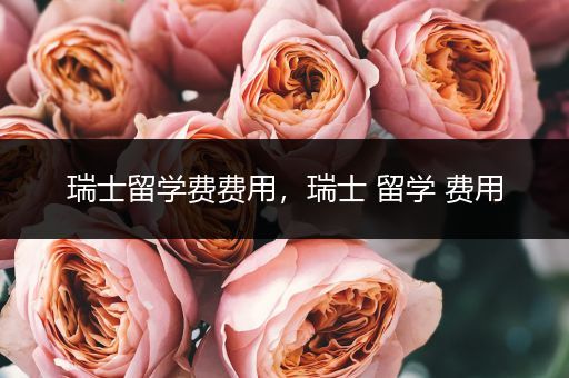 瑞士留学费费用，瑞士 留学 费用