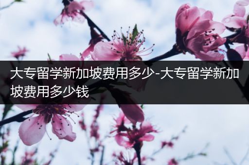 大专留学新加坡费用多少-大专留学新加坡费用多少钱