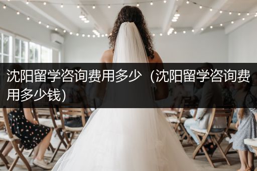 沈阳留学咨询费用多少（沈阳留学咨询费用多少钱）
