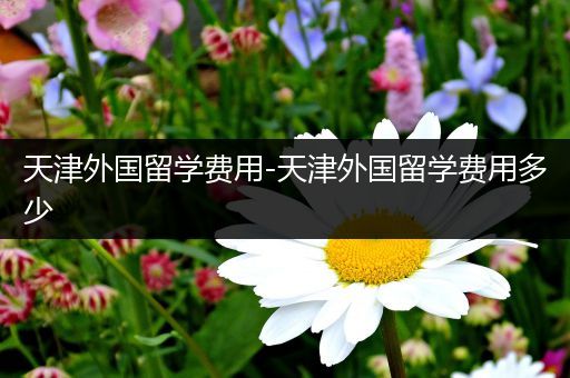 天津外国留学费用-天津外国留学费用多少
