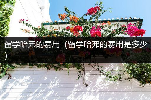留学哈弗的费用（留学哈弗的费用是多少）