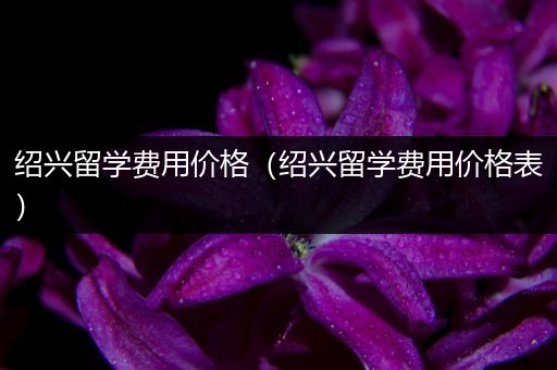 绍兴留学费用价格（绍兴留学费用价格表）