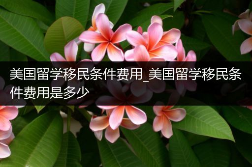 美国留学移民条件费用_美国留学移民条件费用是多少