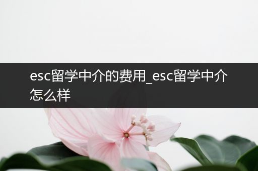 esc留学中介的费用_esc留学中介怎么样